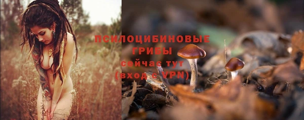 а пвп мука Балахна