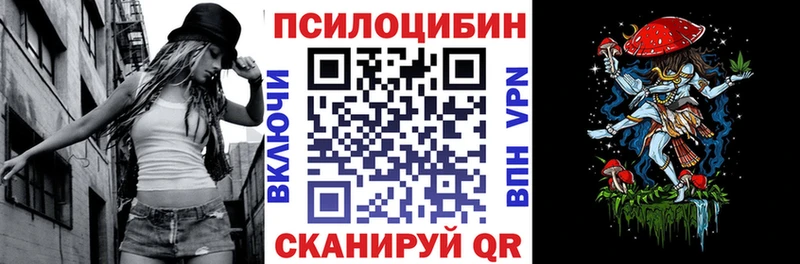 где найти наркотики  Снежногорск  Галлюциногенные грибы Cubensis 